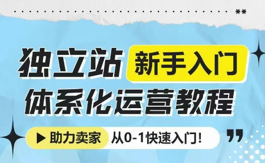 独立站新手入门体系化运营教程，助力独立站卖家从0-1快速入门!-不二学院