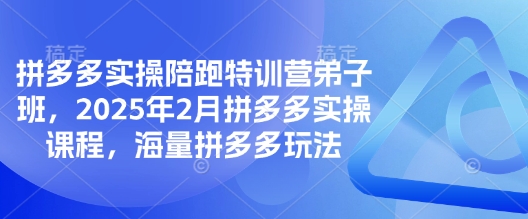 拼多多实操陪跑特训营弟子班，2025年2月拼多多实操课程，海量拼多多玩法-不二学院