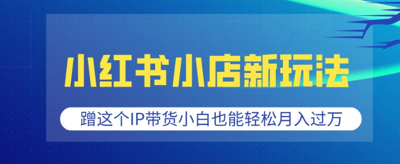 小红书小店新玩法，蹭这个IP带货，小白也能轻松月入过W【揭秘】-不二学院