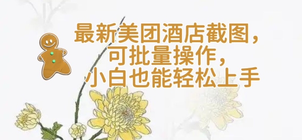 【轻云】最新美团酒店截图，可批量操作，小白也能轻松上手-不二学院