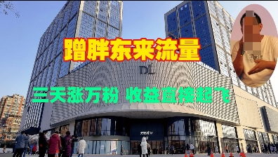 蹭胖东来流量，三天涨万粉，收益直接起飞-不二学院