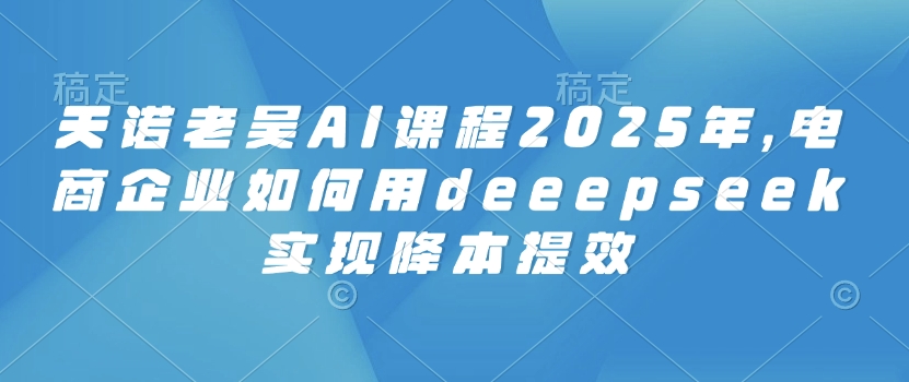 天诺老吴AI课程2025年，电商企业如何用deeepseek实现降本提效-不二学院