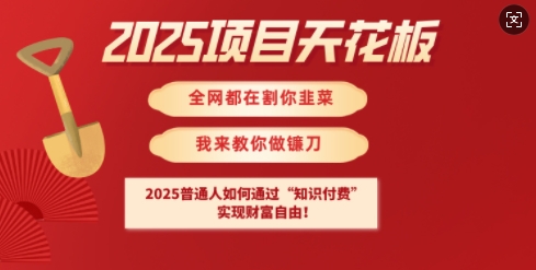 2025项目天花板普通人如何通过知识付费，实现财F自由【揭秘】-不二学院