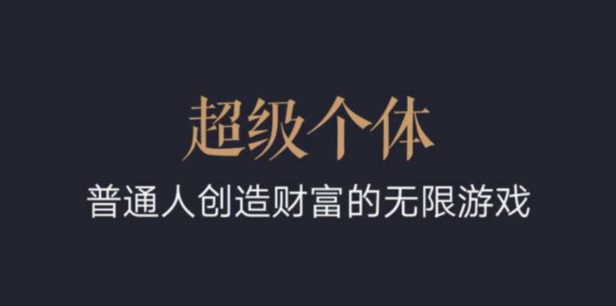 超级个体：2024-2025翻盘指南，普通人创造财富的无限游戏-不二学院