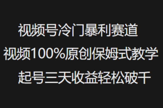 视频号冷门暴利赛道视频100%原创保姆式教学起号三天收益轻松破千-不二学院