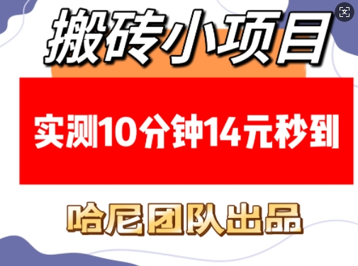 搬砖小项目，实测10分钟14元秒到，每天稳定几张(赠送必看稳定)-不二学院