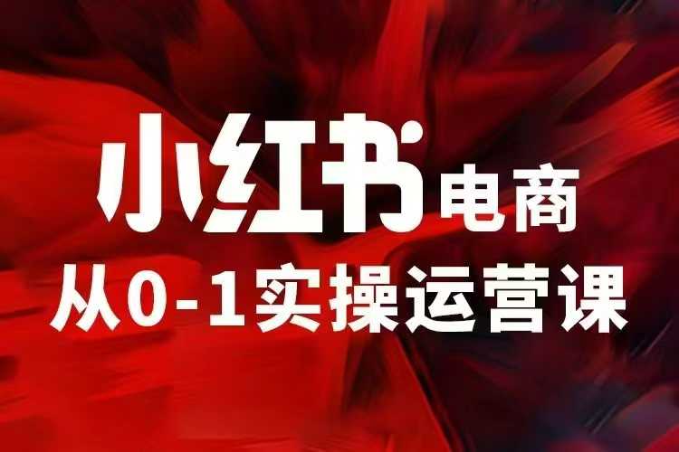 小红书电商运营，97节小红书vip内部课，带你实现小红书赚钱-不二学院