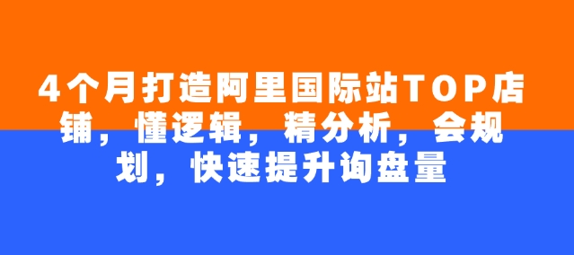 4个月打造阿里国际站TOP店铺，懂逻辑，精分析，会规划，快速提升询盘量-不二学院