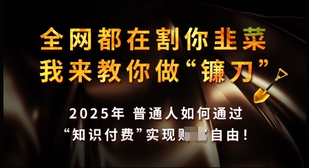 知识付费如何做到月入过W+，2025我来教你做“镰刀”【揭秘】-不二学院