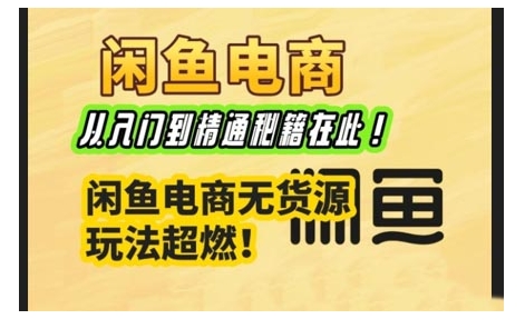 闲鱼电商实战课，从入门到精通秘籍在此，闲鱼电商无货源玩法超燃!-不二学院