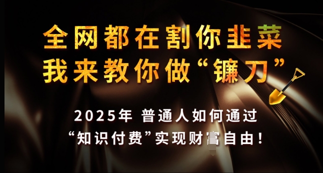 全网都在割你韭菜，我来教你做镰刀，2025年普通人如何通过 知识付费 实现财F自由【揭秘】-不二学院