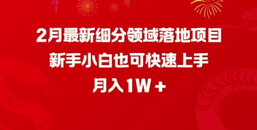 2月最新细分领域落地项目，新手小白也可快速上手，月入1W-不二学院