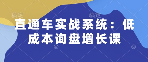 直通车实战系统：低成本询盘增长课，让个人通过技能实现升职加薪，让企业低成本获客，订单源源不断-不二学院