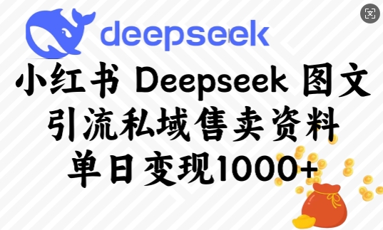 小红书Deepseek图文引流私域售卖资料，单日变现多张-不二学院