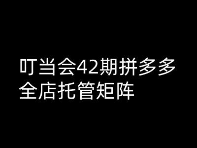 叮当会拼多多打爆班原创高阶技术第42期，拼多多全店托管矩阵-不二学院