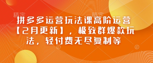 拼多多运营玩法课高阶运营【2月更新】，极致群爆款玩法，轻付费无尽复制等-不二学院