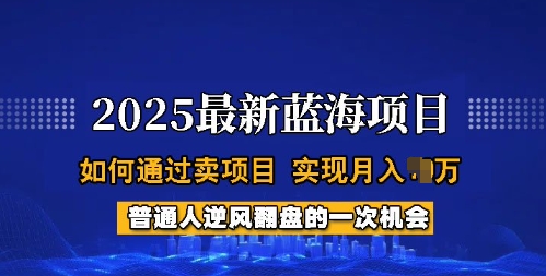 2025蓝海项目，普通人如何通过卖项目，实现月入过W，全过程【揭秘】-不二学院