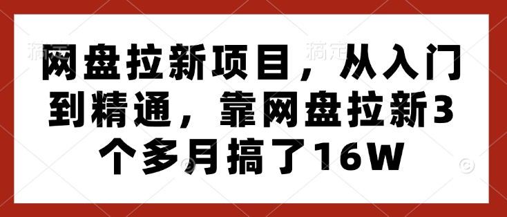 网盘拉新项目，从入门到精通，靠网盘拉新3个多月搞了16W-不二学院