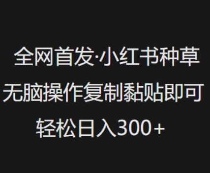 全网首发，小红书种草无脑操作，复制黏贴即可，轻松日入3张-不二学院