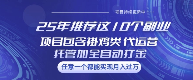 25年推荐这10个副业项目包含褂鸡类、代运营托管类、全自动打金类【揭秘】-不二学院