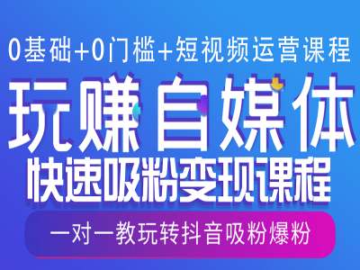 0基础+0门槛+短视频运营课程，玩赚自媒体快速吸粉变现课程，一对一教玩转抖音吸粉爆粉-不二学院