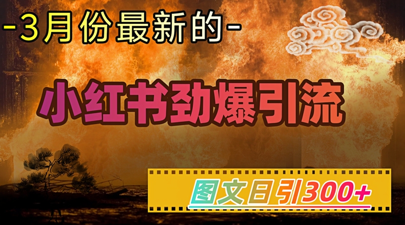 小红书超劲爆引流手段，图文日引300+轻松变现1W-不二学院