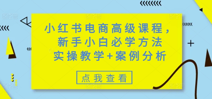 小红书电商高级课程，新手小白必学方法，实操教学+案例分析-不二学院