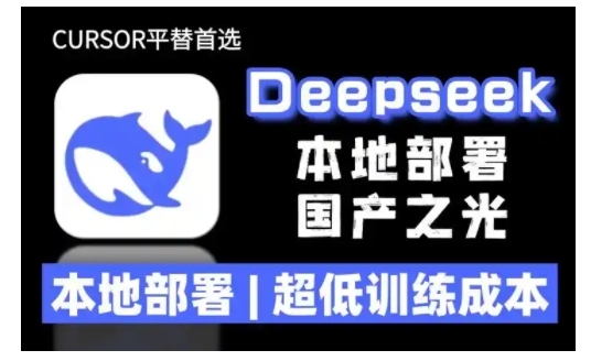 2025年deepseek R1 大型模型本地安装部署(文件+教程)本地部署，超低训练成本-不二学院