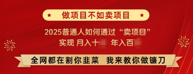 必看，做项目不如卖项目，2025普通人如何通过“卖项目”实现月入十个，年入百个-不二学院
