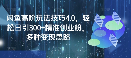 闲鱼高阶玩法技巧4.0，轻松日引300+精准创业粉，多种变现思路-不二学院